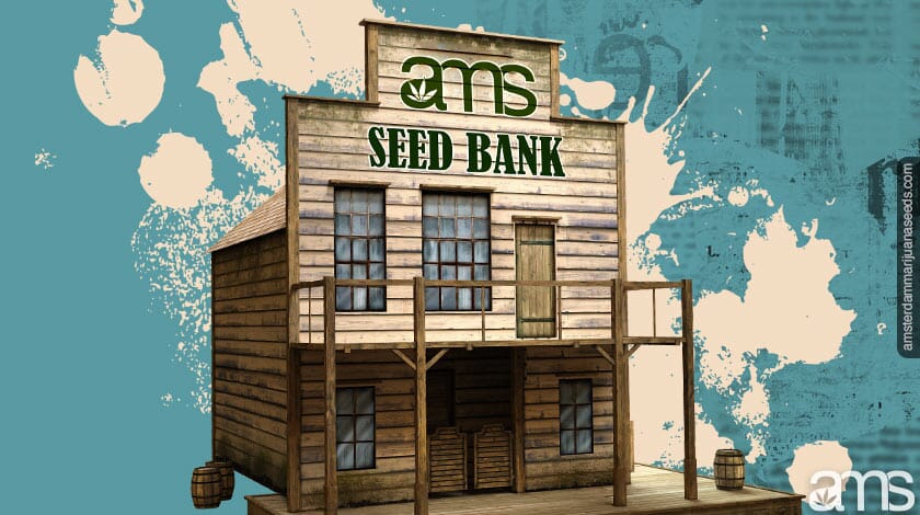 ams seed bank ams seed bank