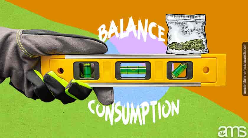 horizontal level to indicate a balanced consumption