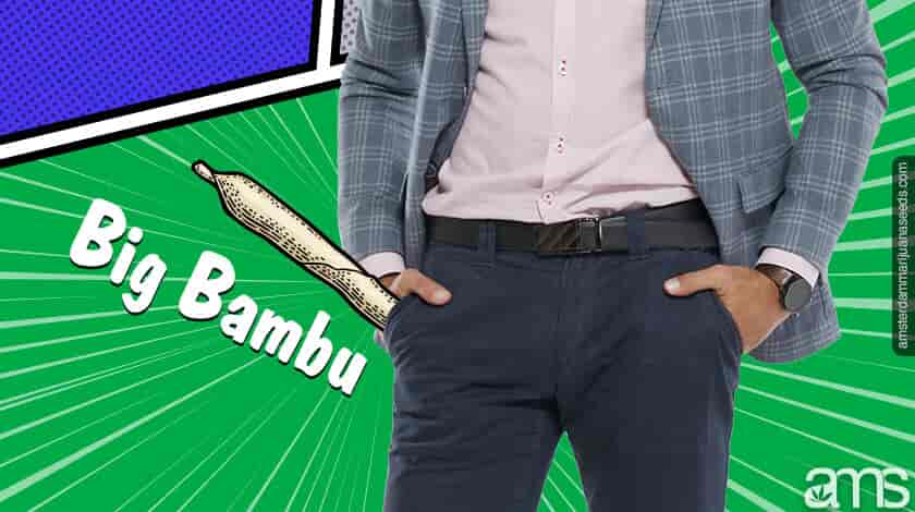 big bambu paper in pocket