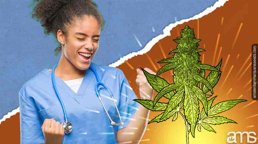 cannabis doctor