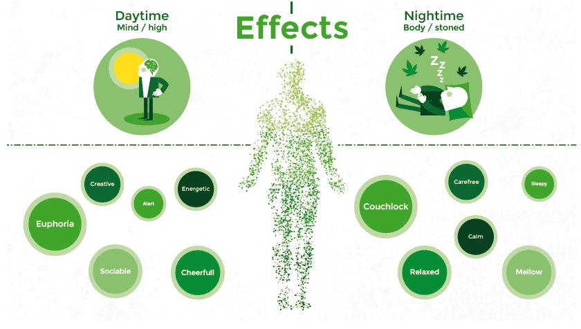 effects cannabis