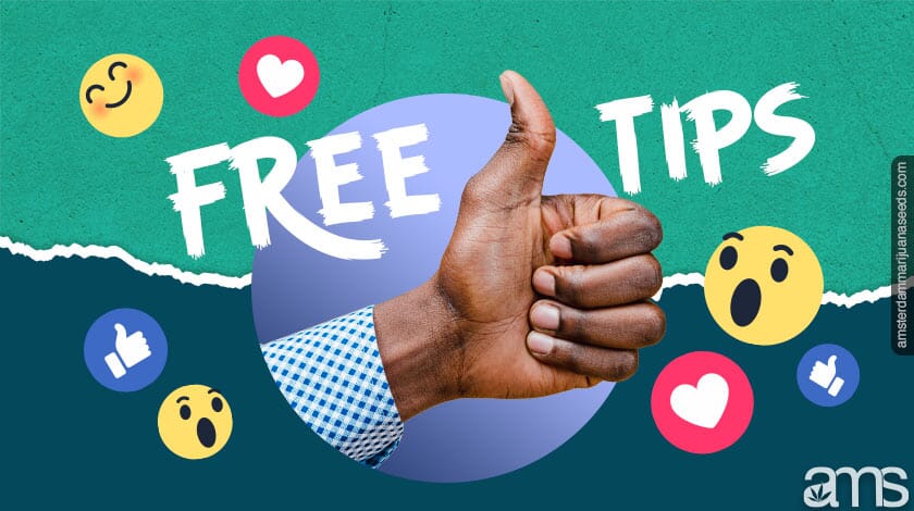 free tips free tips