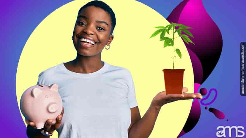 woman with plant and savings in her hands