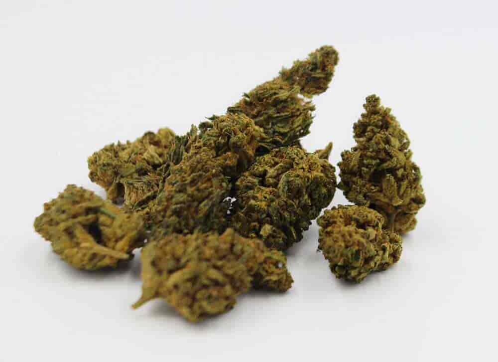 tasty cannabis buds