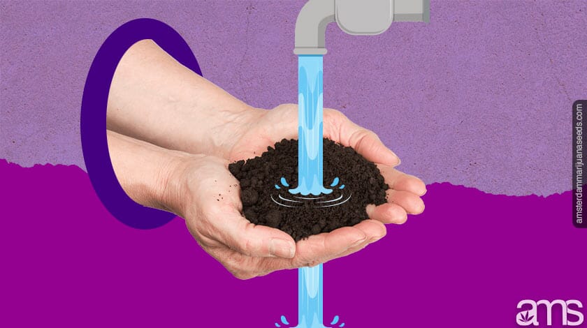 watering soil