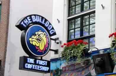 The_bulldog_amsterdam