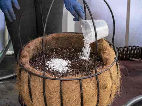 Adding perlite to a pot of soil