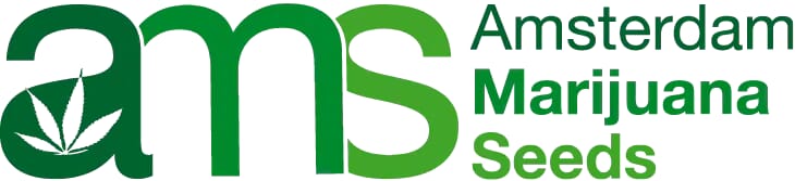 AMS Logo