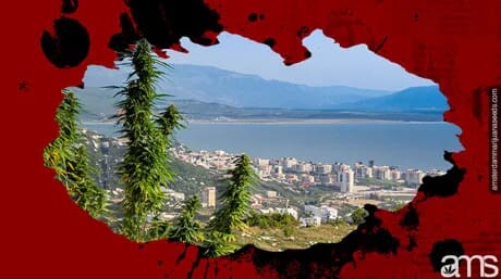albania_legalizes_cannabis_for_medical_and_industrial
