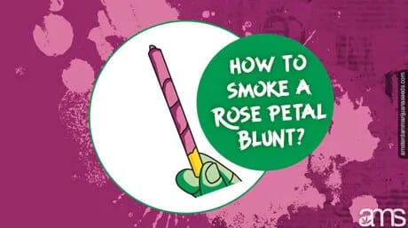 how_smoke_rose_petal_blunt