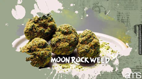 moon_rock_weed_delicacy_for_gourmands