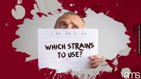 which_strains_to_use