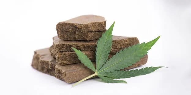 Quality of Hashish: How to Identify It