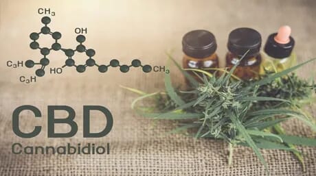 How to Make CBD Oil at Home: A Hippie Biochemist's Guide