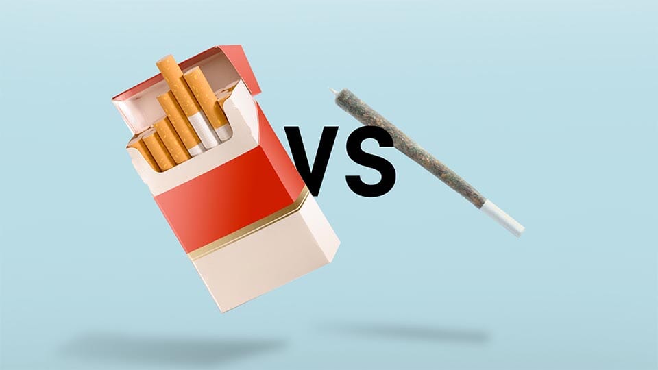 The debate between Tobacco and Cannabis: Exploring myths and realities