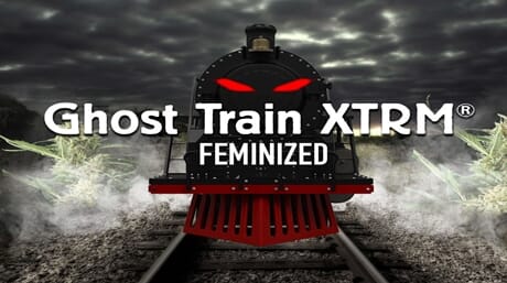 Ghost Train XTRM