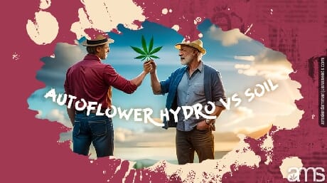 two growers holding a cannabis leaf
