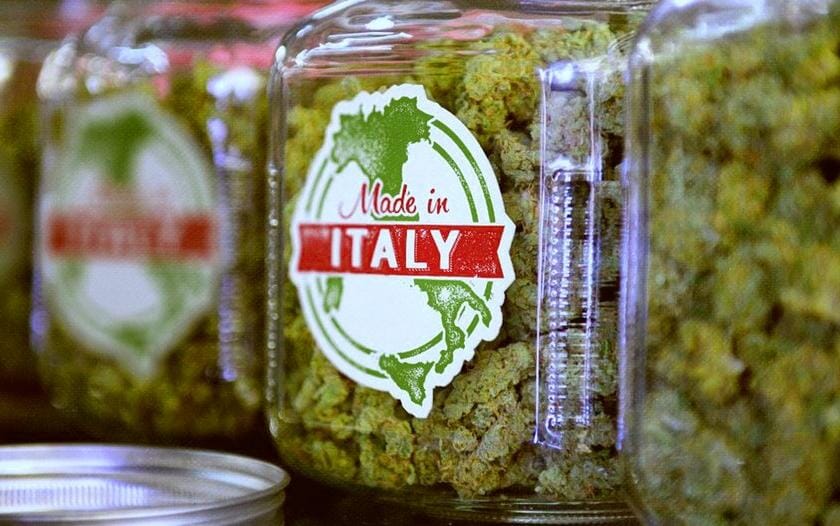 The rise and fall of cannabis in Italy.