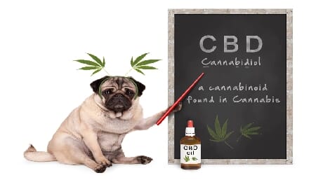 About CBD and THC