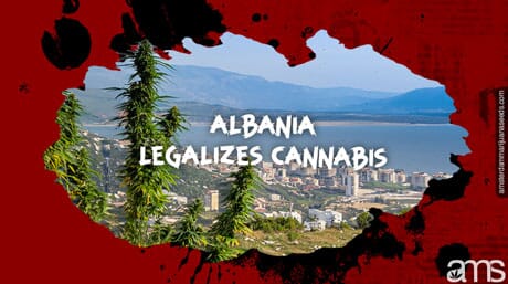 Albania Legalizes Cannabis