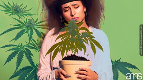 worried girl sadly looks at her autoflower plant