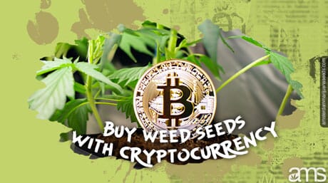 Bitcoin coin in front of a weed plant