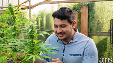 man with marijuana plats in his greenhouse