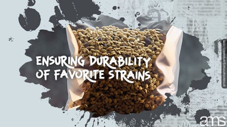 Cannabis Seed Storage Ensuring Durability of Favorite Strains