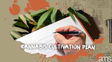 Hand writes the cultivation plan in abook