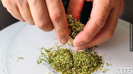 hands grinding marijuana by hand