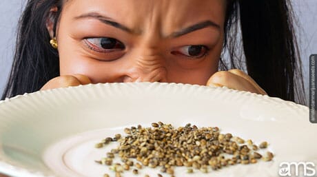 angry person next to cannabis seeds on a plate