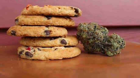 Girl Scout Cookies