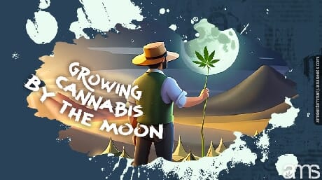 A farmer holding a marijuana plant looking at the full moon