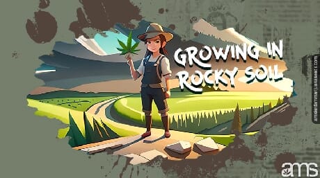 A farmer standing with a marijuana leaf on a rocky soil