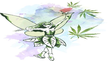 Marijuana myths debunked