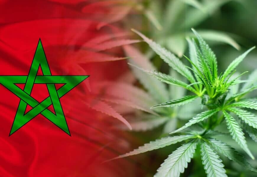 Legalization of Beldia Cultivation in Morocco