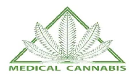 medical cannabis pets on pot