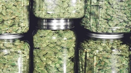 Odor-Proof Cannabis Storage