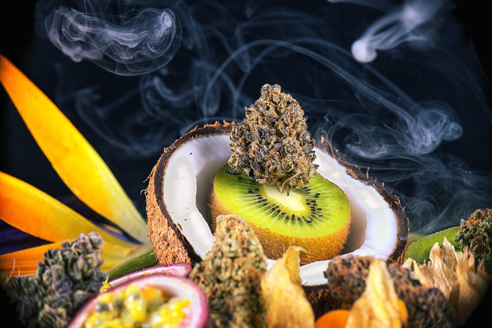 Cannabis and terpenes