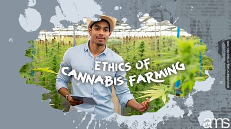 cannabis grower employing ethical practices