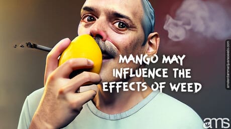 man eating a mango and smoking marijuana
