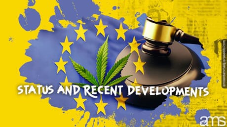Judge's hammer with a marijuana leaf and the European flag
