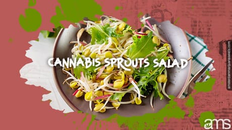 bowl with cannabis sprout salad