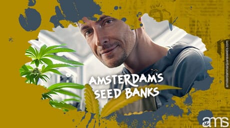 grower from amsterdam in front of his cannabis plants