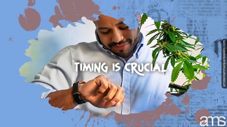 Man looks at watch with cannabis plant