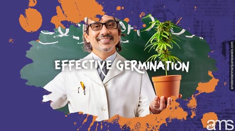 professor teaches germination a potted marijuana plant