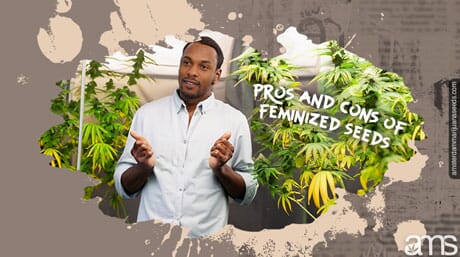 grower who considers the pros and cons