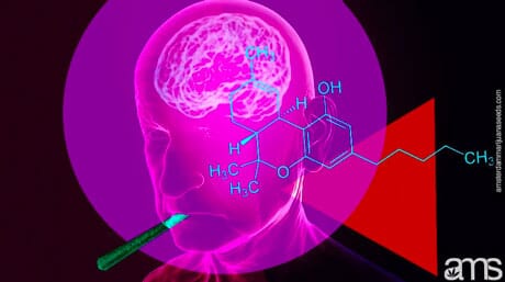 dna strings and a brain