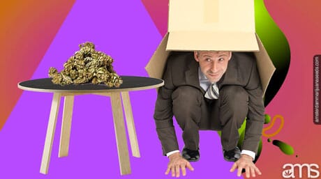 man heading under a box for weed bud