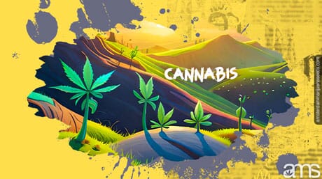 Cannabis plant and hills